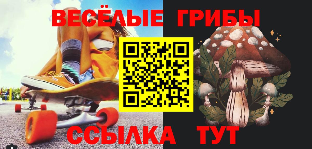Псилоцибиновые грибы мухоморы Кольчугино